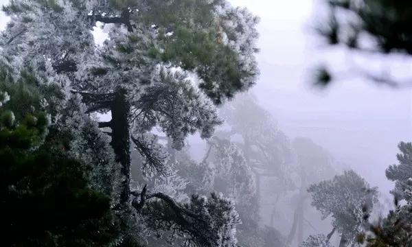 4399封神霸业